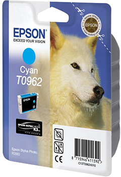 EPSON Original Tintenpatrone Cyan (C13T09624010)