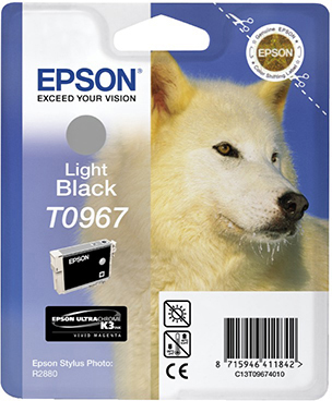 EPSON Original Tintenpatrone Light Schwarz (C13T09674010)