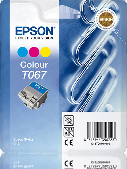 EPSON (C13T06704010) mehrfarbig Tintenpatrone Original