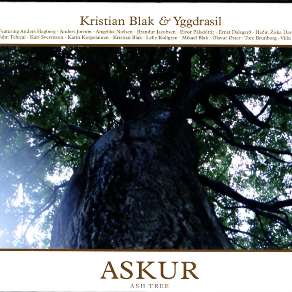Albumcover: Hoher Baum von unten. Text: Kristian Blak & Yggdrasil. Askur, Ash Tree.