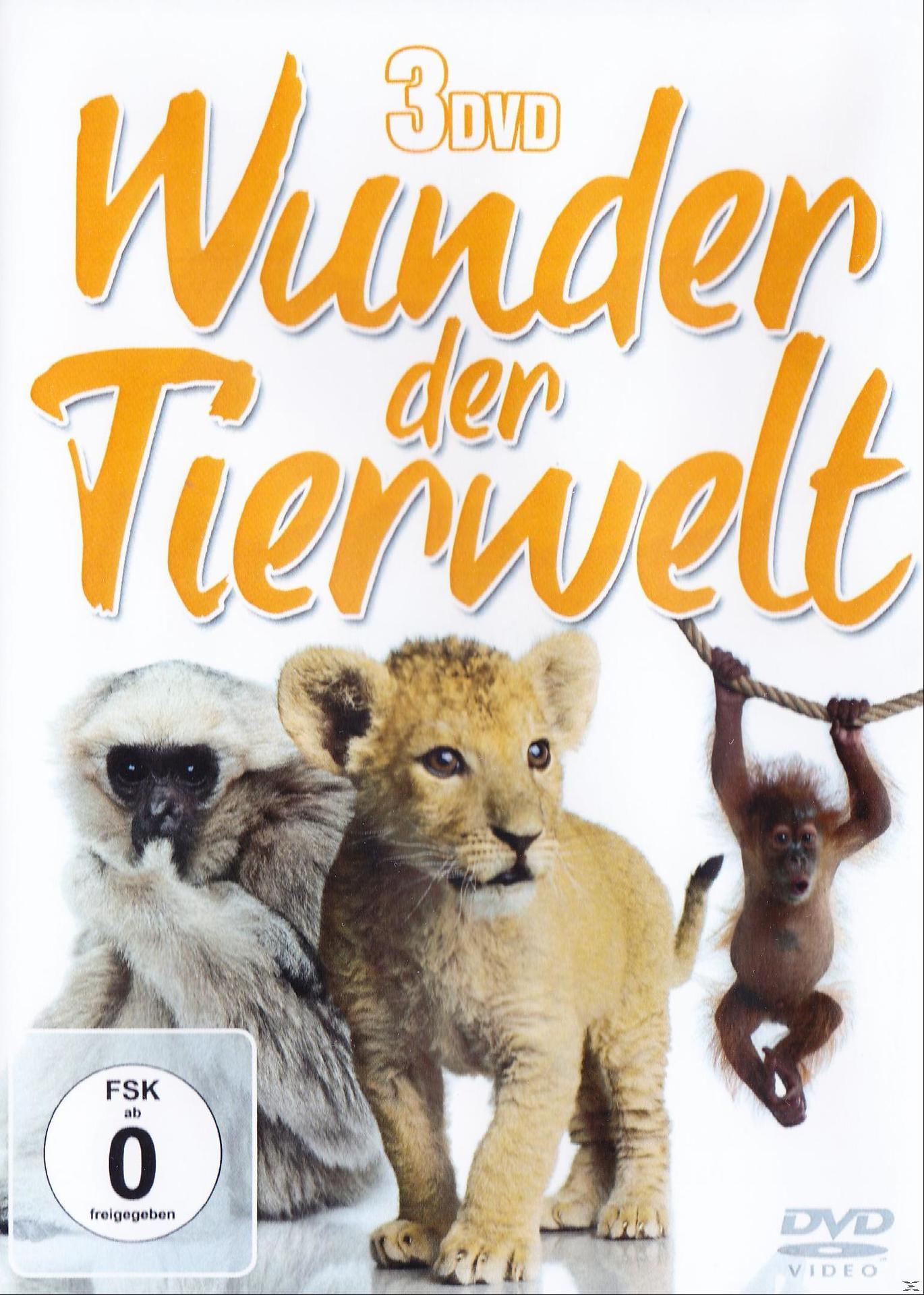 DVD-Cover. 'Wunder der Tierwelt'. Löwenjunges und Affe. Cartoon-Stil.