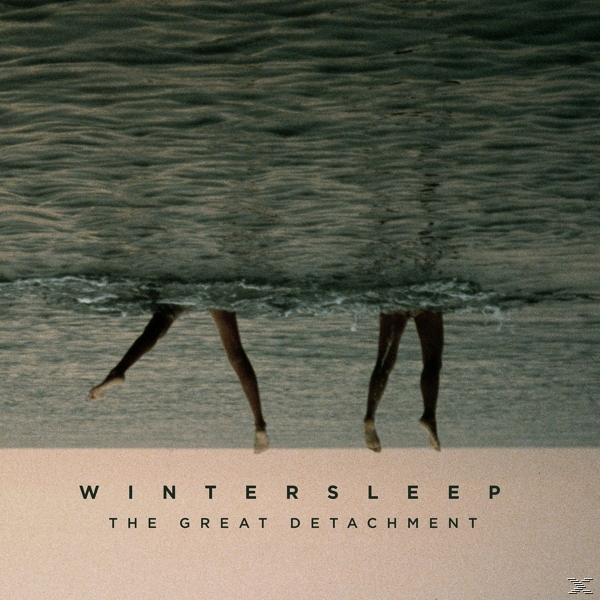 Wintersleep - The Great Detachment  - (CD)