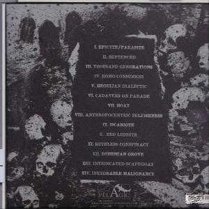 Implore - Depopulation  - (CD)