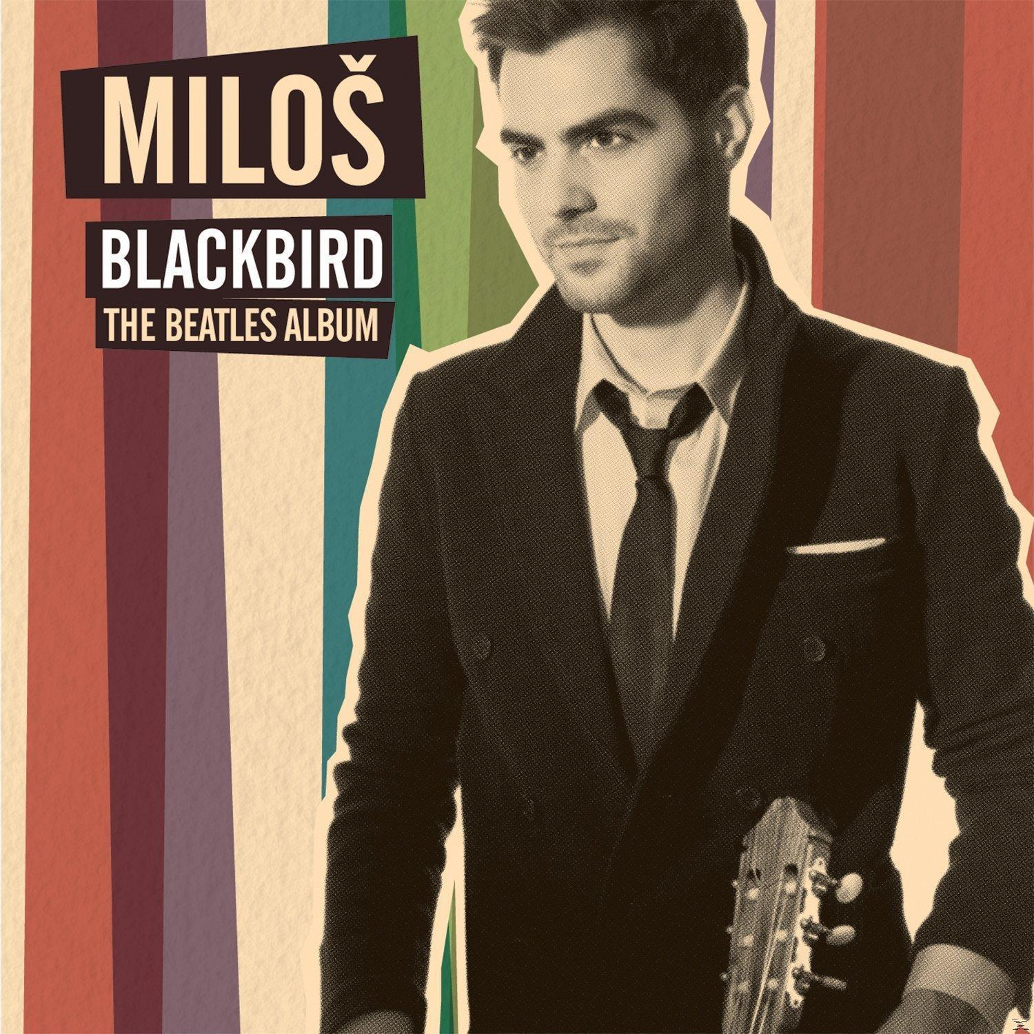 Album borító: Miloš, 'Blackbird' album. Férfi öltönyben gitárral, retro színes háttér előtt.