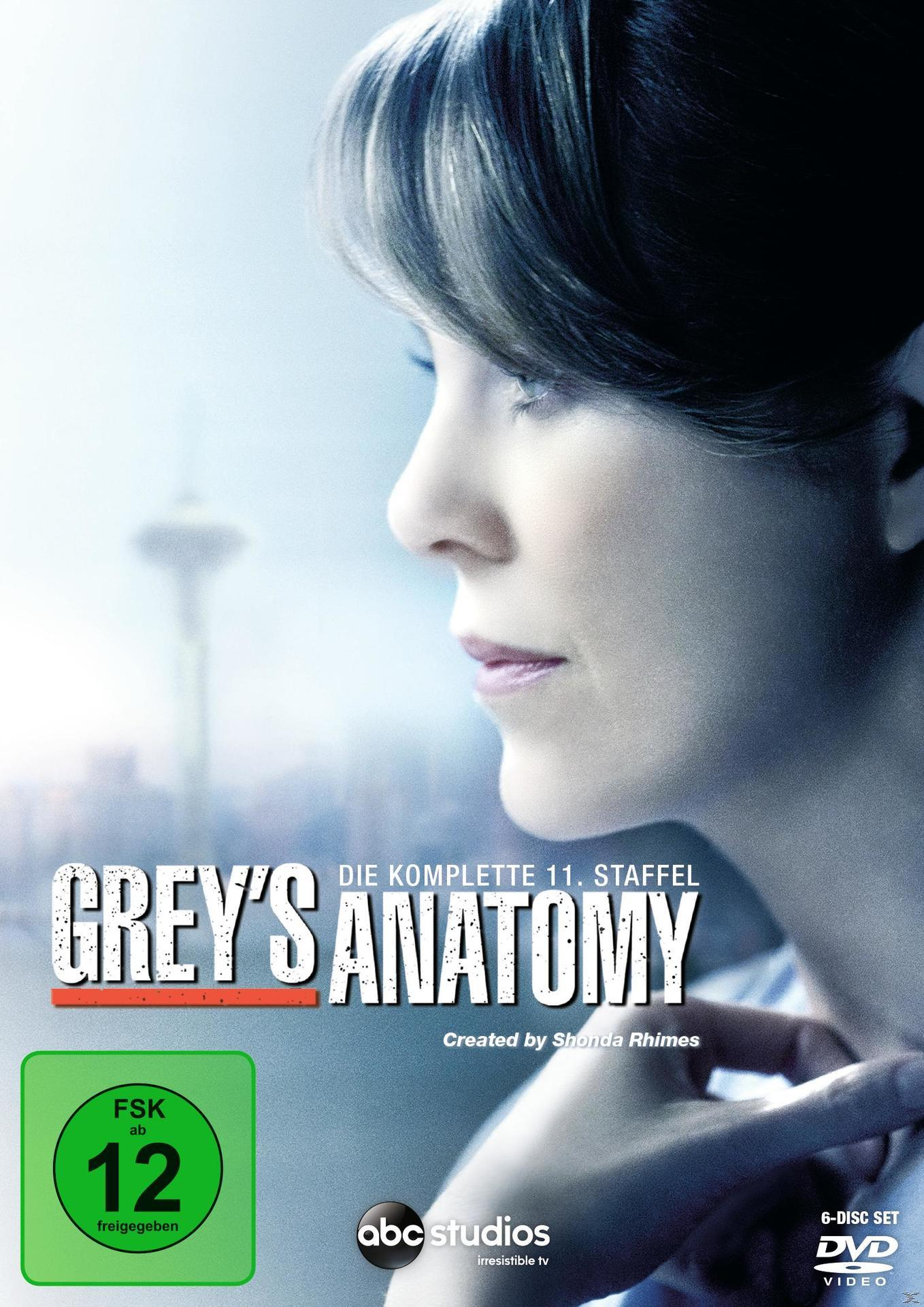 Greys Anatomy - 11. Staffel DVD