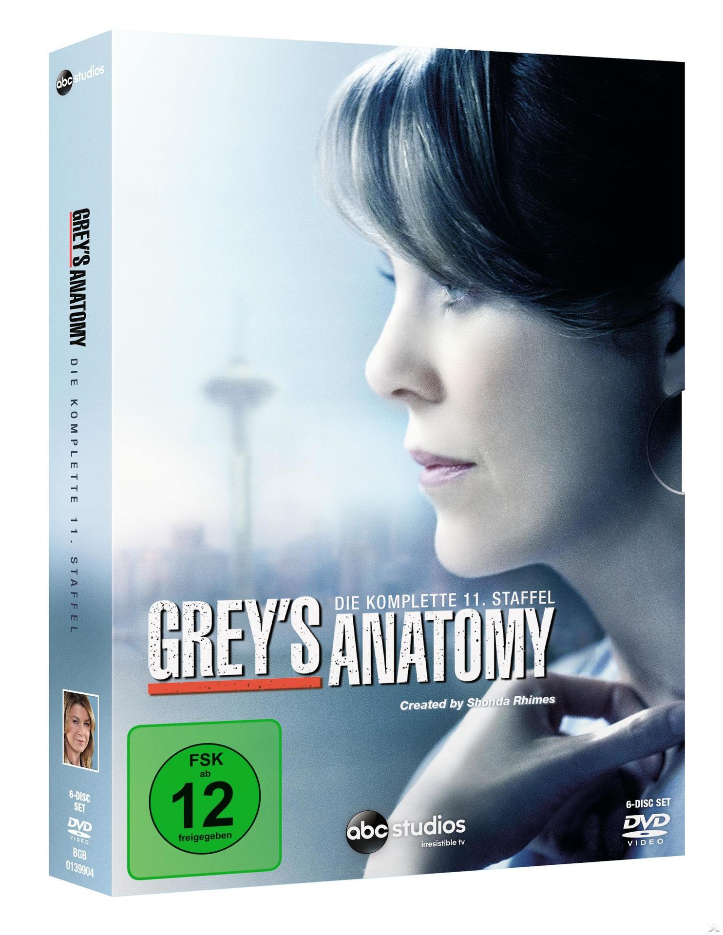 Greys Anatomy - 11. Staffel DVD