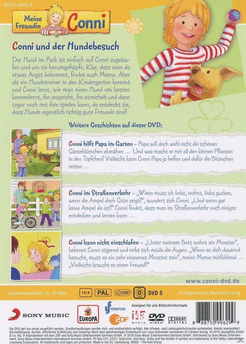 DVD-Cover eines Zeichentrickfilms für Kinder. Ein Mädchen mit einem Hund im Park.