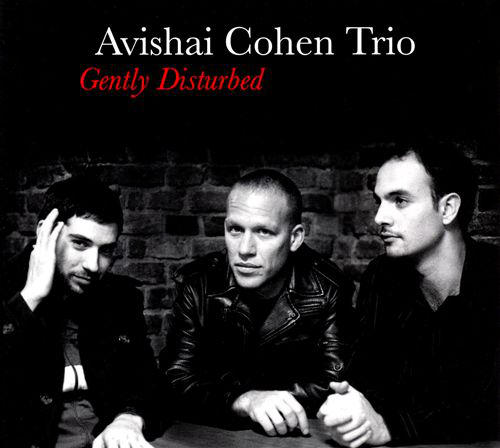 Avishai Cohen Trio (Nagybőgős) - Gently Disturbed (Vinyl LP (nagylemez))