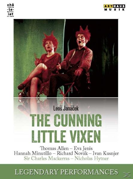 - Vixen VARIOUS Little - (DVD) Cunning The