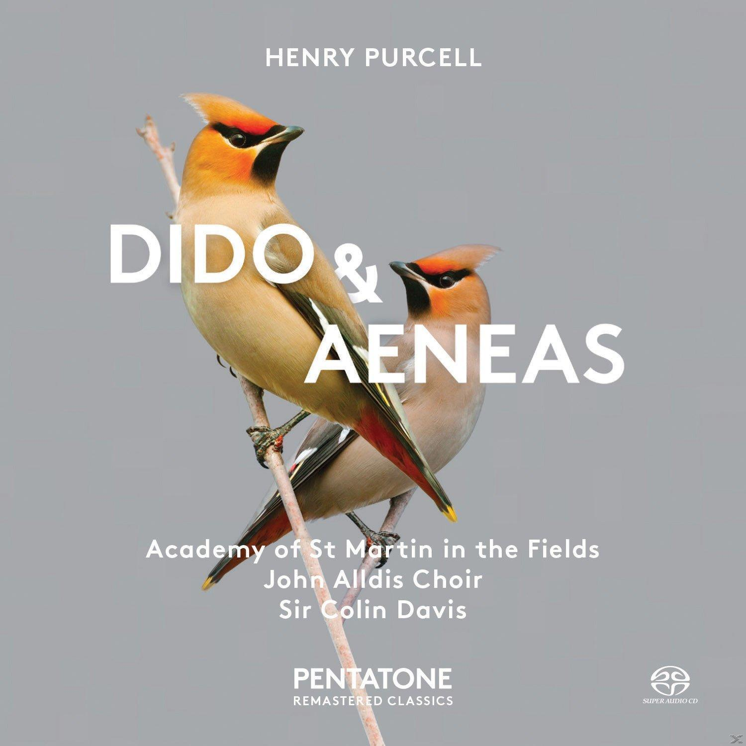 Albumcover: Zwei Vögel, Titel 'Dido & Aeneas', Künstler Henry Purcell. Grauer Hintergrund.