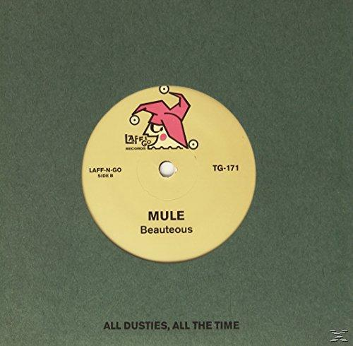 Shellac, Mule - The Soul - (Vinyl) Sound
