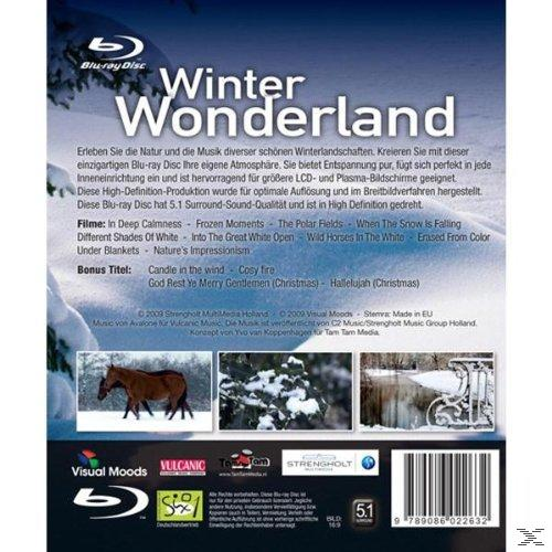 Winter Wonderland, Blu-Ray Blu-ray