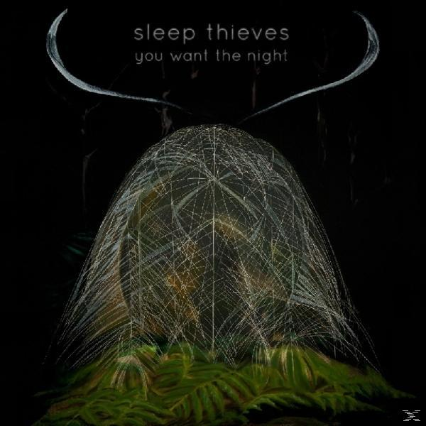 Albumcover „Sleep Thieves“ mit dunklem Hintergrund und einer hellen Struktur in der Mitte.