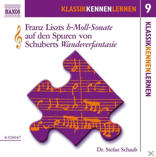 Stefan Schaub - Die h-moll-Sonate Von Liszt  - (CD)