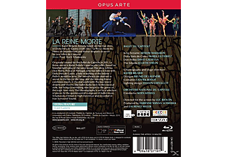 Belarbi Kader - La Reine Morte (Toulouse 2015)  - (Blu-ray)