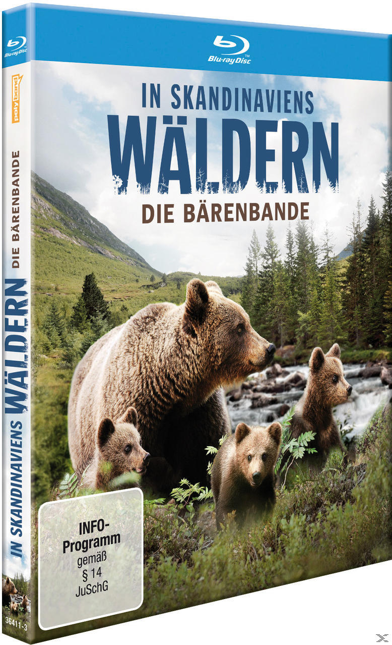 DVD-Cover: Eine Bärenfamilie in einem Wald mit Text auf Deutsch.