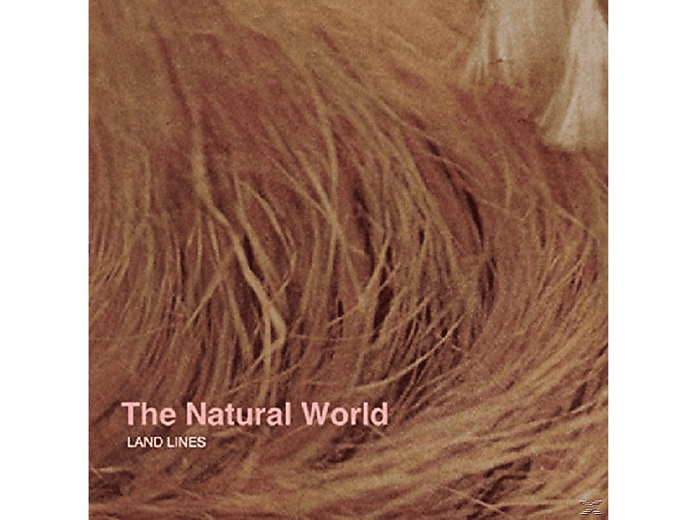 Land Lines - The Natural World  - (Vinyl)