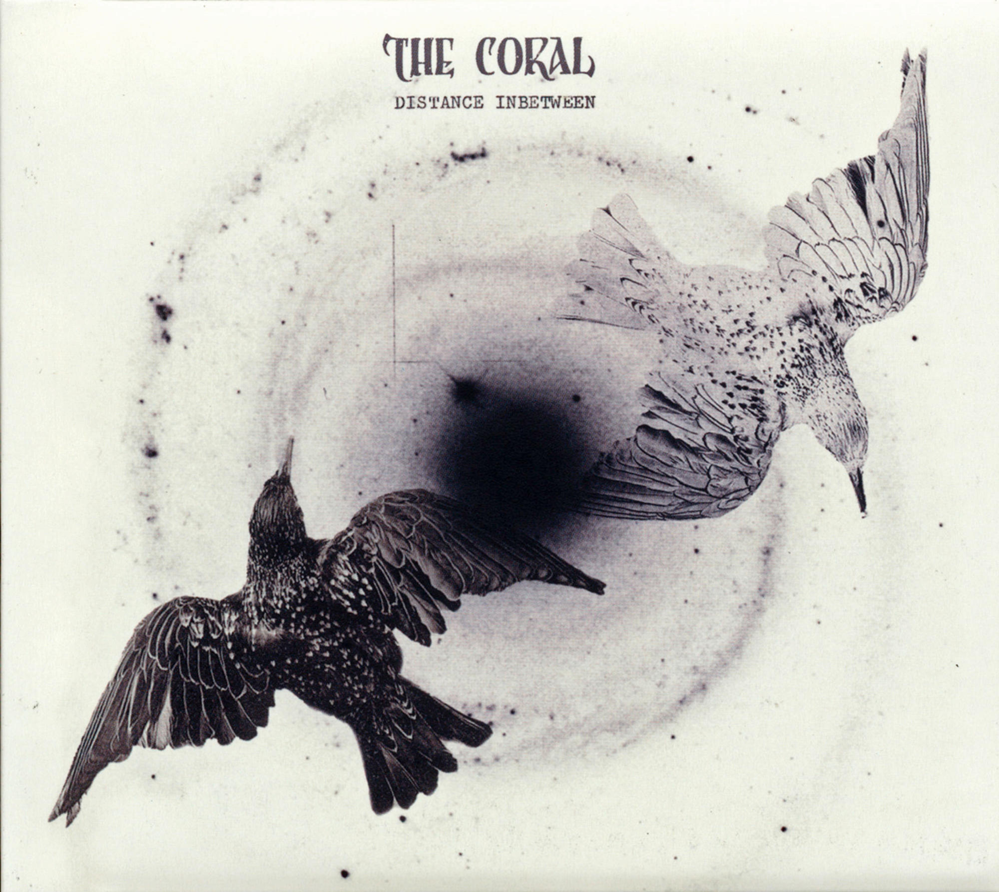 The Coral - Distance Inbetween  - (CD)
