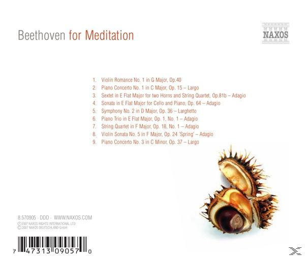 Rückseite einer CD-Hülle mit Songtiteln und dem Text 'Beethoven for Meditation'. Enthält Kastanien.