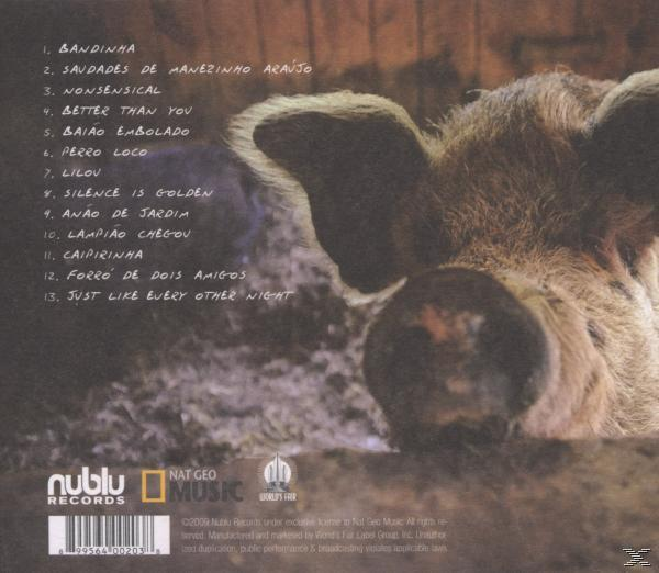Forro In The Dark - Light a Candle  - (CD)