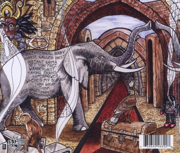 Birds Of Avalon - Bazaar Bazaar  - (CD)