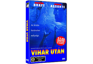 Vihar után (DVD)