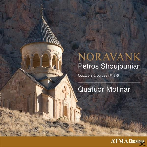 Quatuor Molinari - Novarank-Streichquartette 3-6  - (CD)
