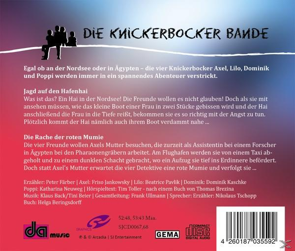 Various - Die Knickerbocker Bande 2 Folgen: Jagd Auf Den Haf  - (CD)