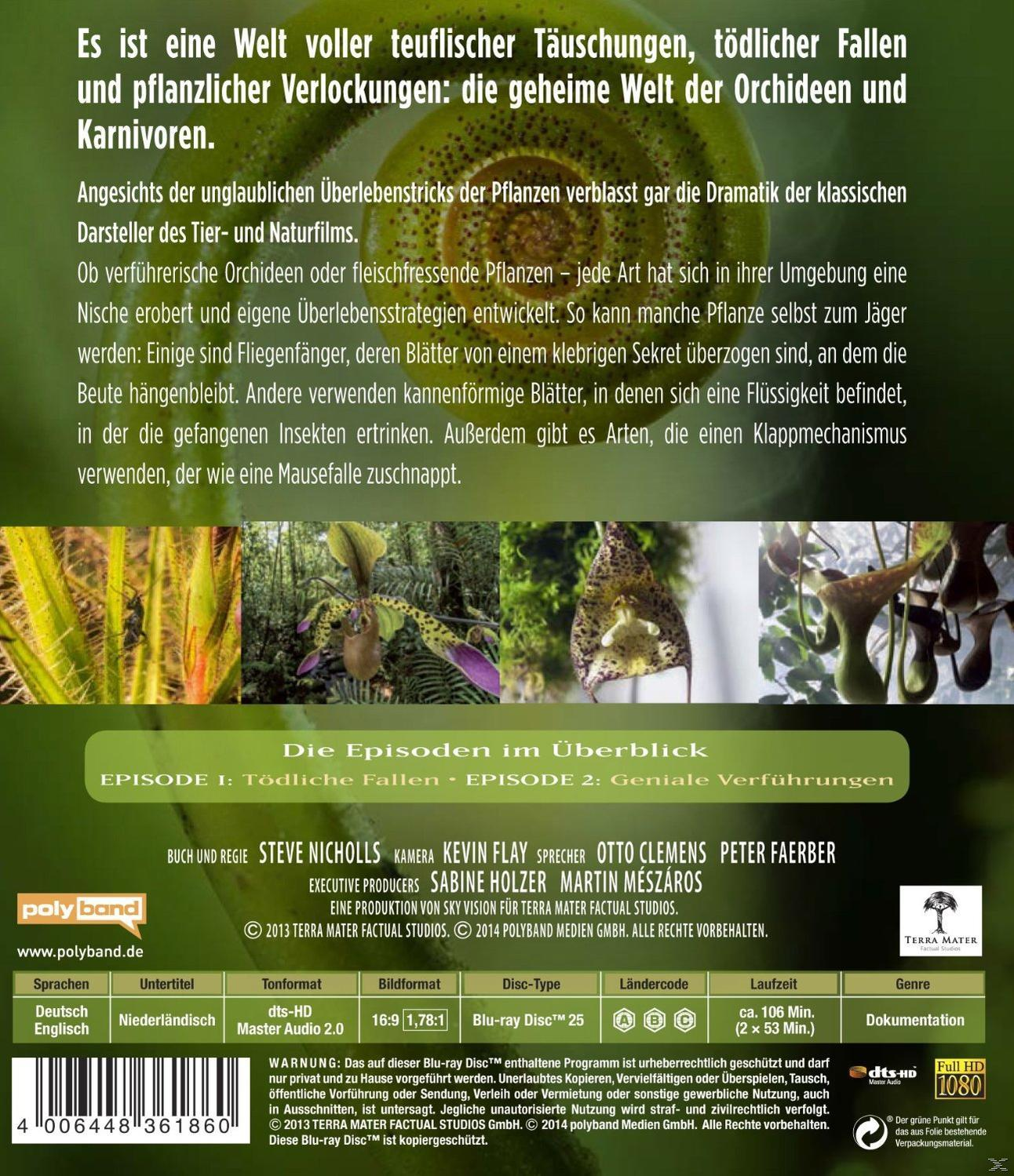 Die Tricks der Pflanzen [Blu-ray]