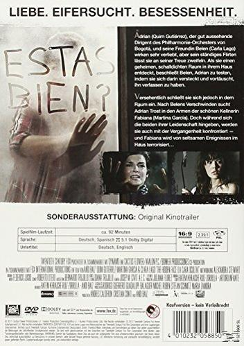 Das verborgene Gesicht DVD