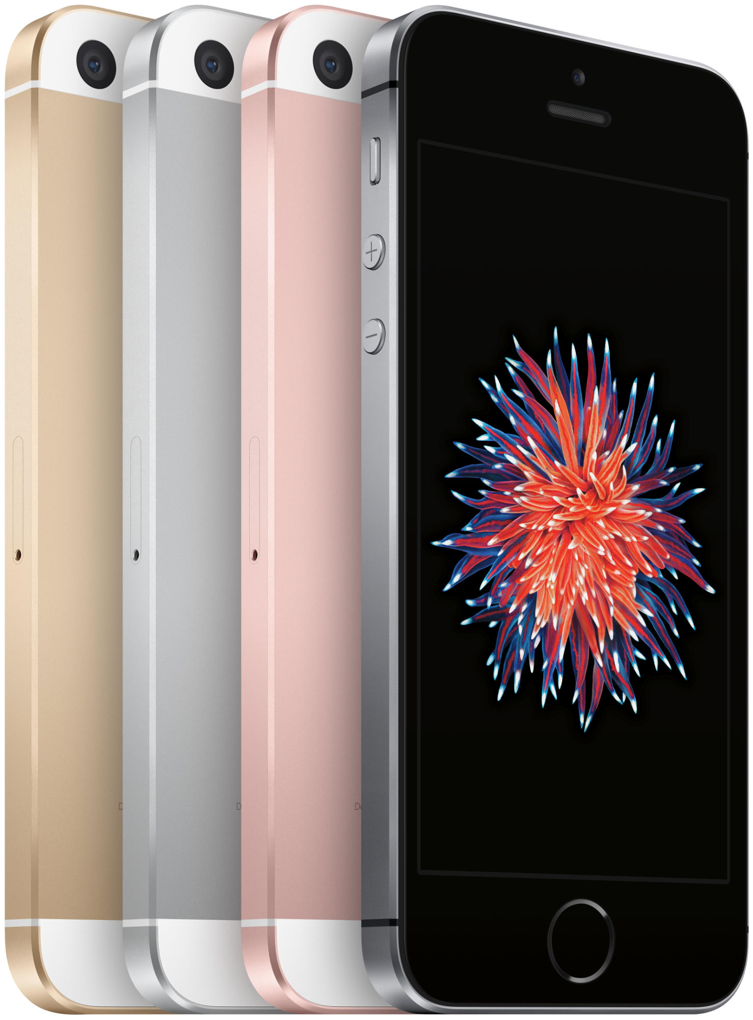 APPLE iPhone SE 64 GB Silber