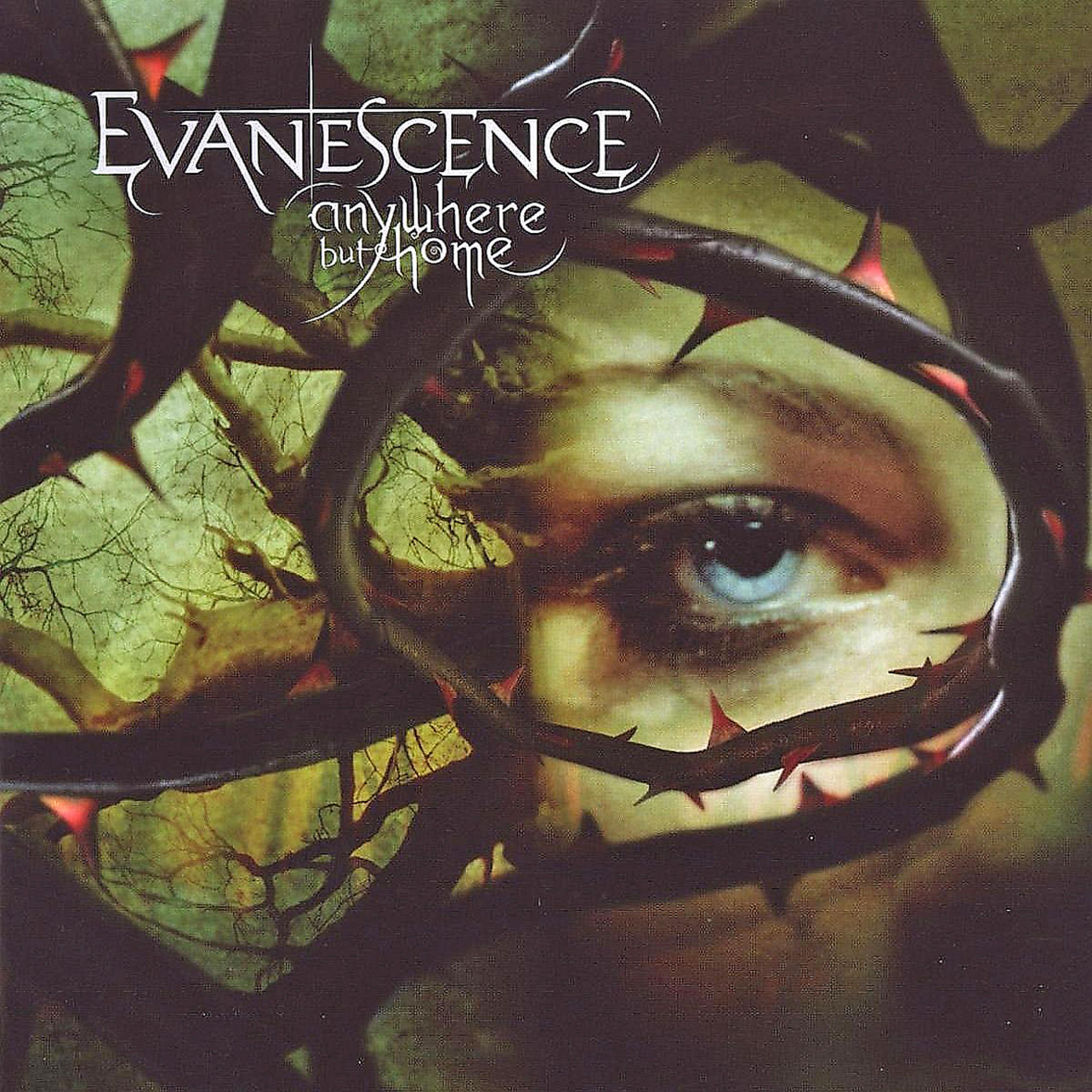 Pochette d'album du groupe Evanescence, avec un œil visible derrière des vignes épineuses.