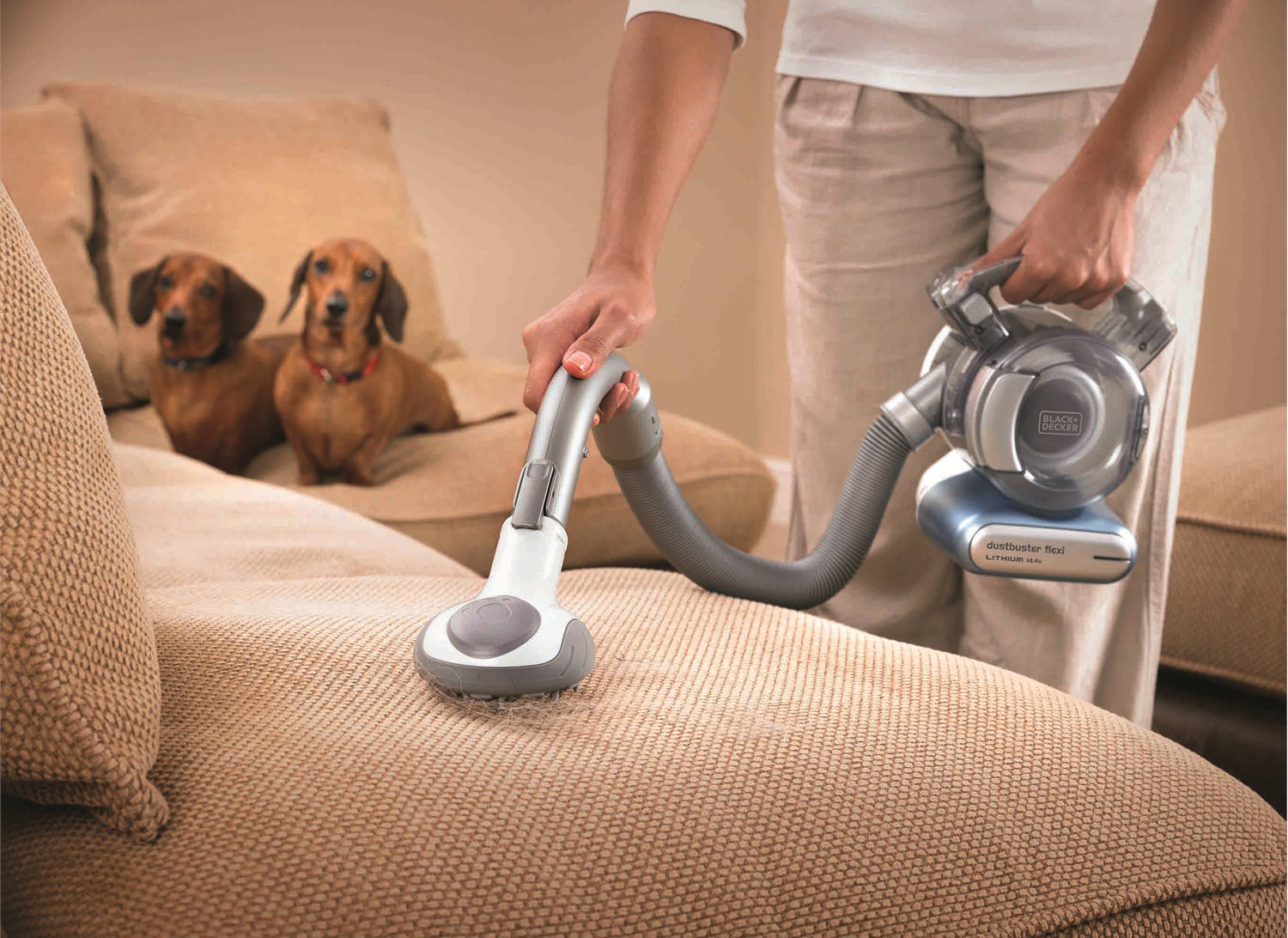 Bir kişi, arka planda iki dachshund ile bir kanepede elektrik süpürgesi kullanıyor.