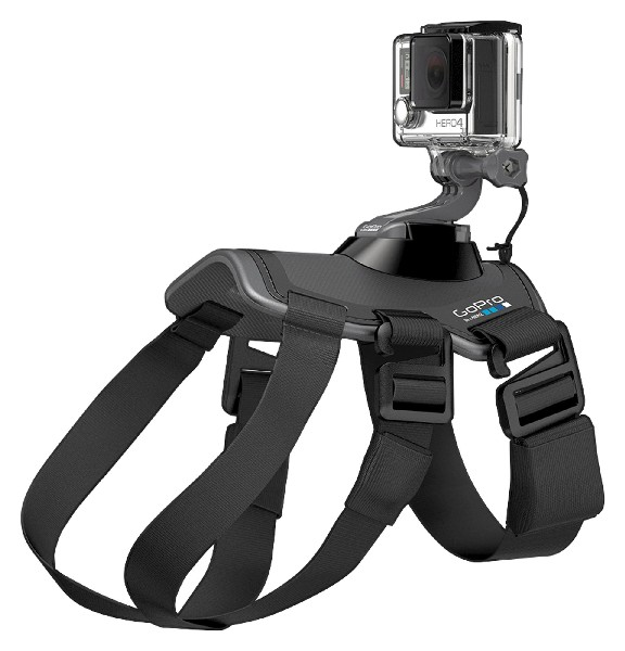 Accesorio GoPro- GoPro Fetch, arnés para perros