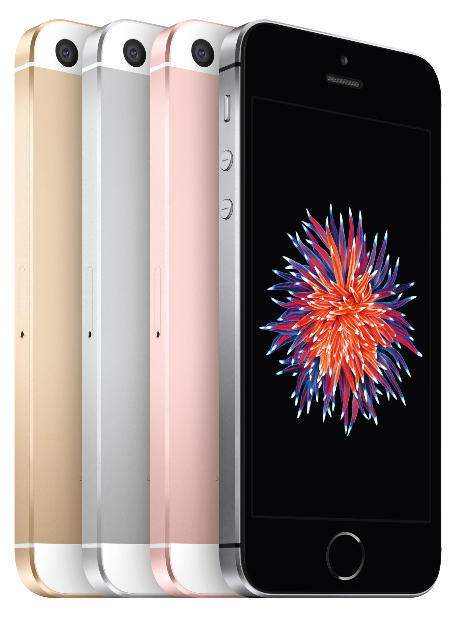 APPLE iPhone SE 16GB Uzay Grisi Akıllı Telefon Apple Türkiye