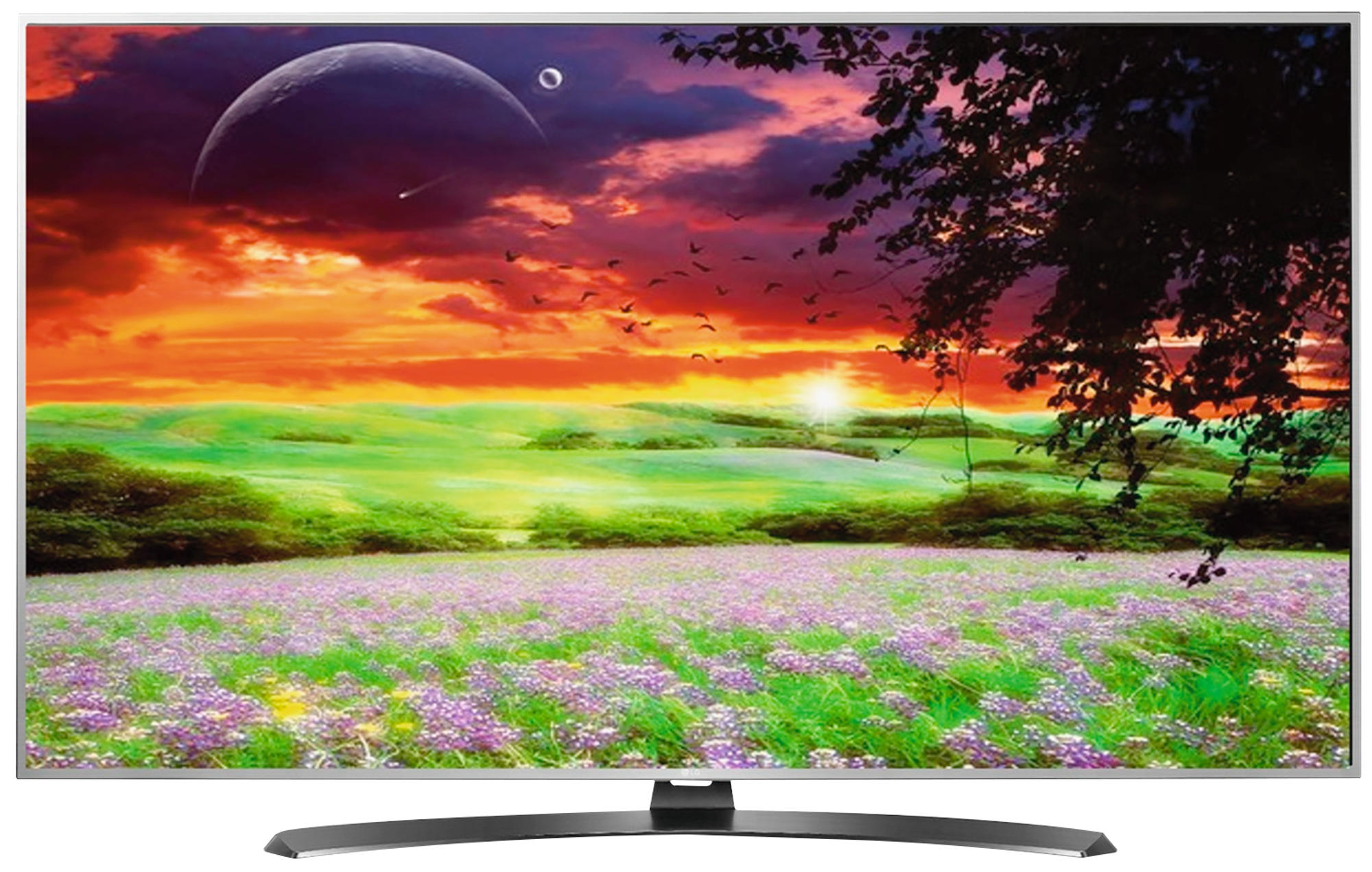Un televisor que muestra un paisaje con una puesta de sol, árboles y un campo de flores.