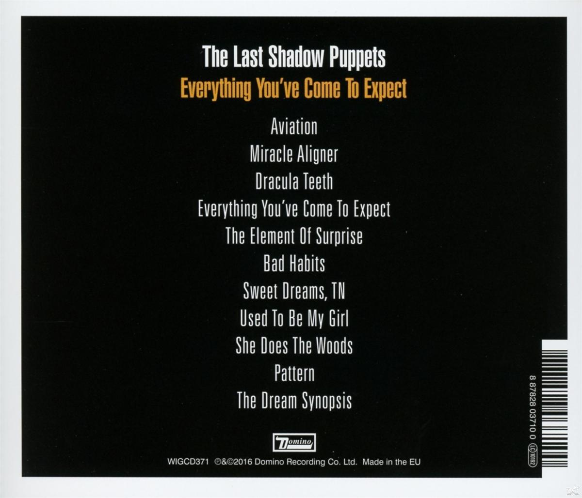 Rückseite des Albums 'The Last Shadow Puppets'. Die Titelliste wird in weißem Text angezeigt.