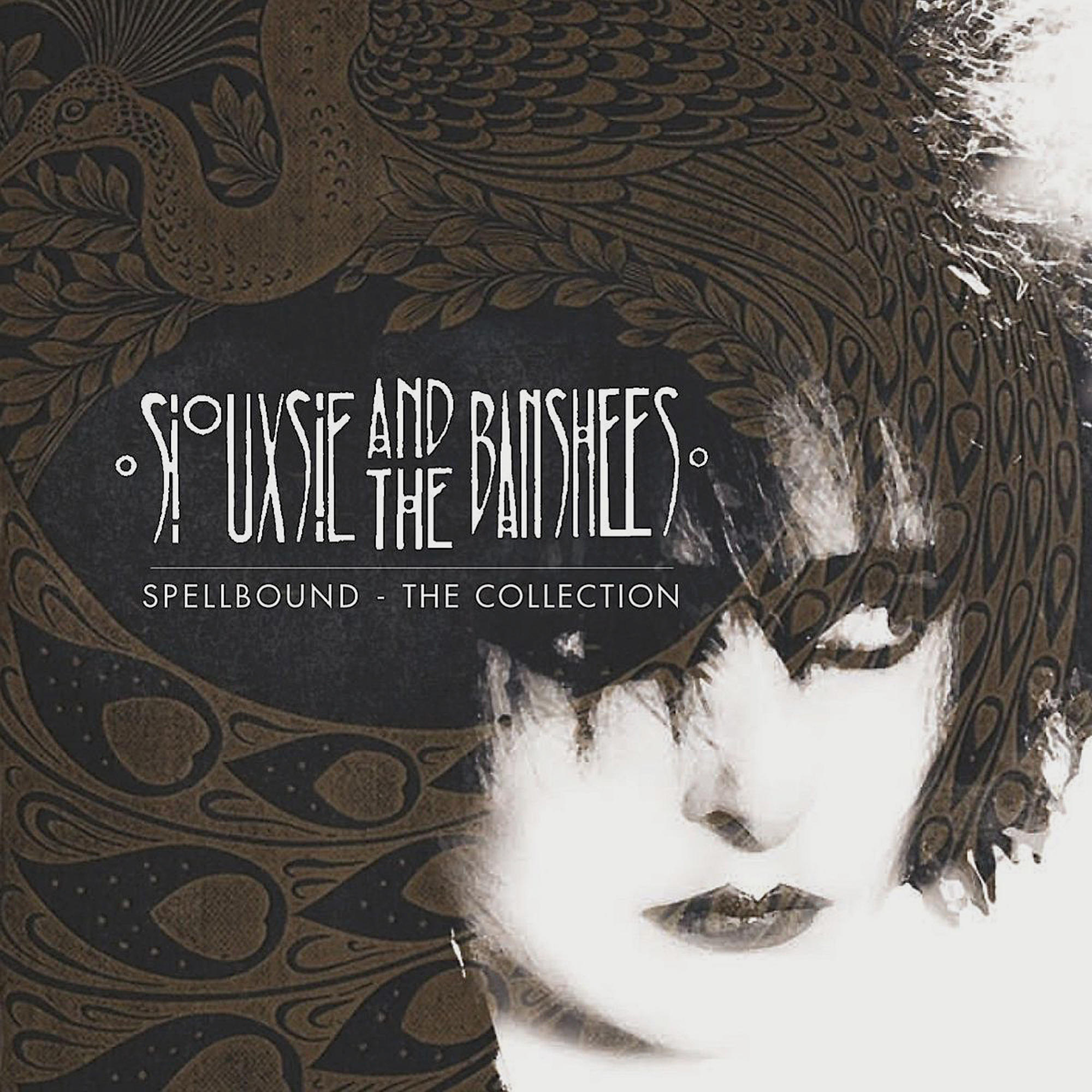 Albumcover mit einem Frauengesicht und den Worten 'Siouxsie and the Banshees - Spellbound'. Dunkel und künstlerisch.