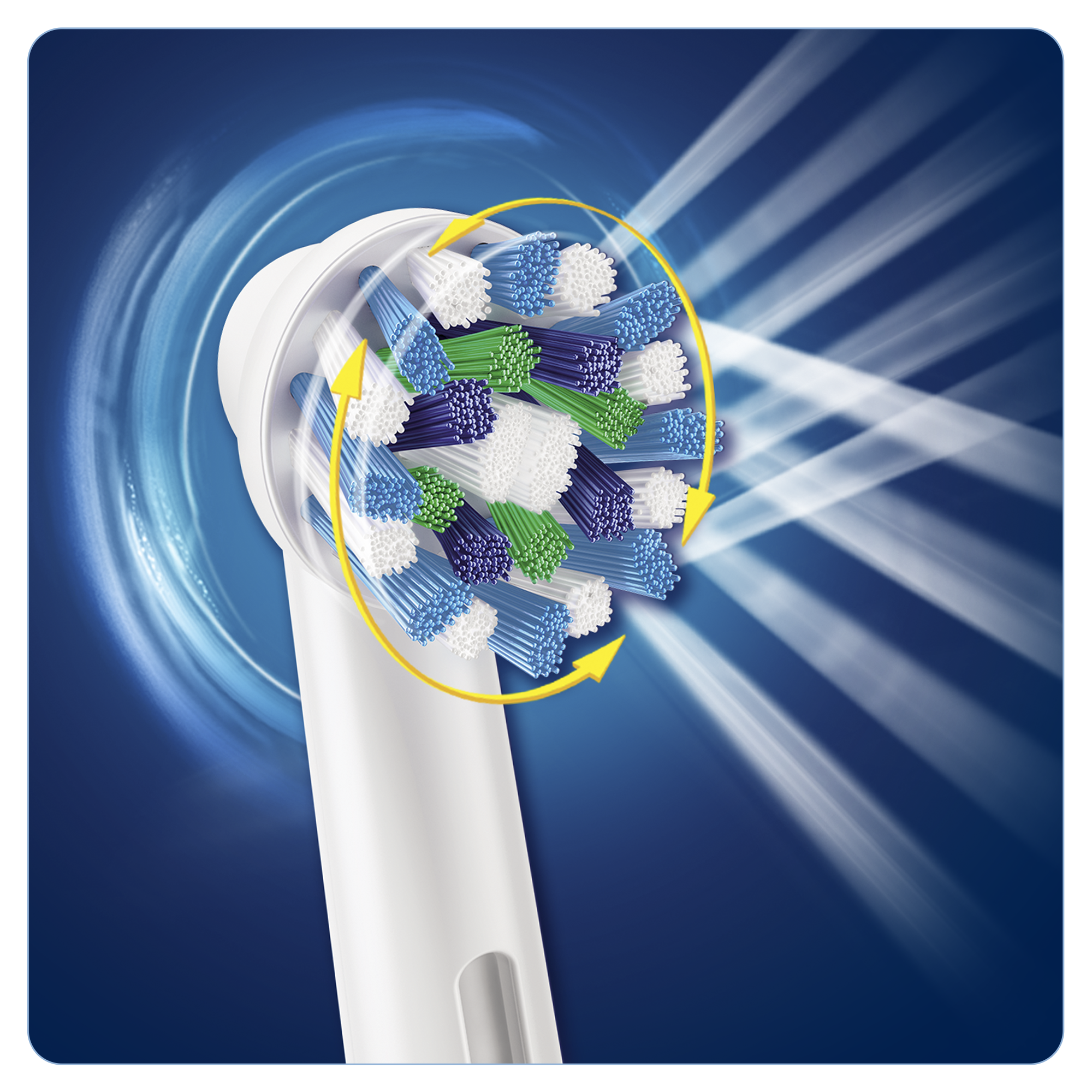 ORAL B Brosse à dents électrique PRO 790 (PRO 790 CA BLACK + BONUS HANDLE)