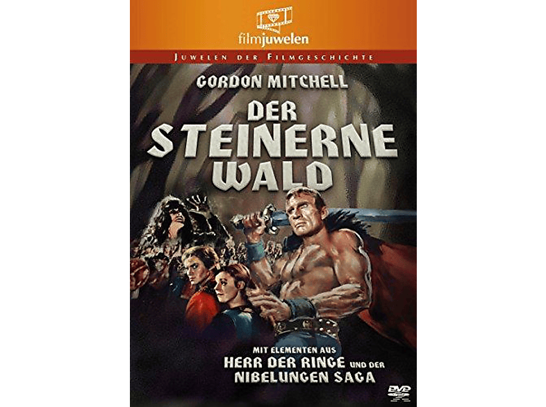 Wikinger - Das Schwert von Valhalla DVD (FSK: 12)