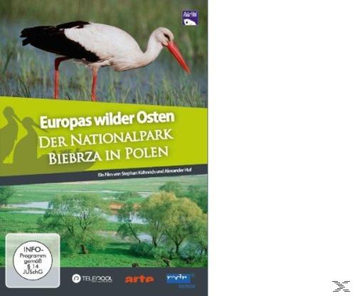 Der Europas Wilder Nationalpark Osten: Biebrza Polen in DVD