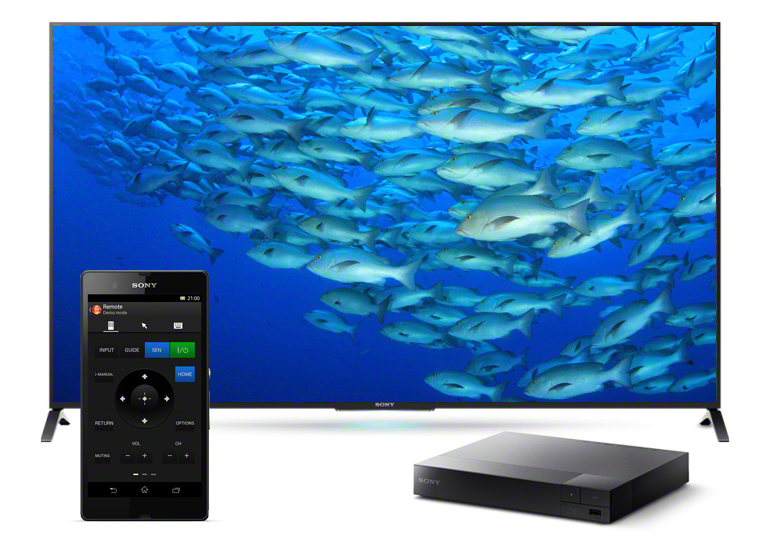 Fernseher, Fernbedienung und Blu-ray-Player; der Fernseher zeigt einen Fischschwarm unter Wasser.