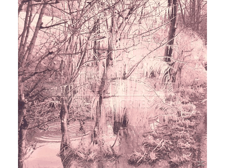 Esben And The Witch - Violet Cries - (CD)