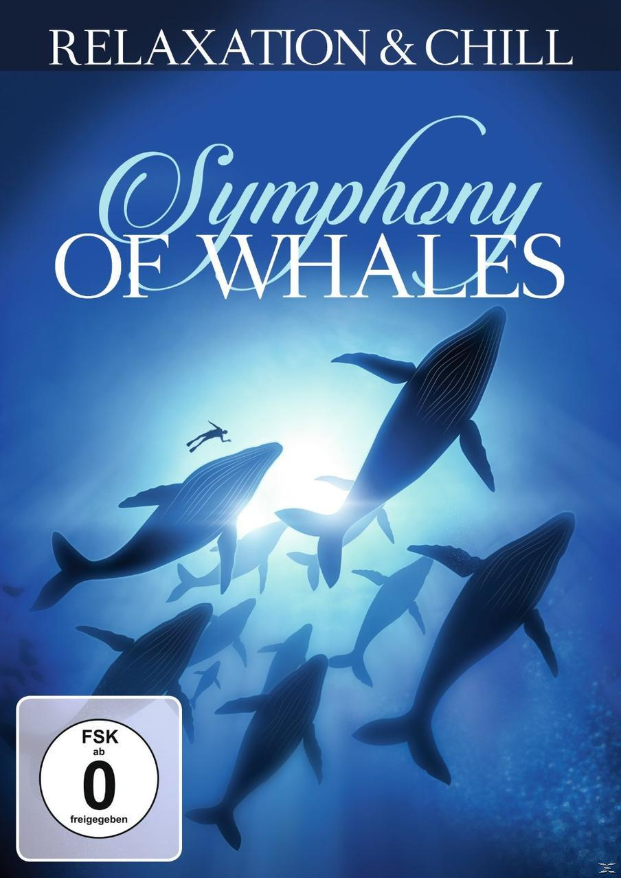 Relaxation Symphony Whales Chill & - DVD of