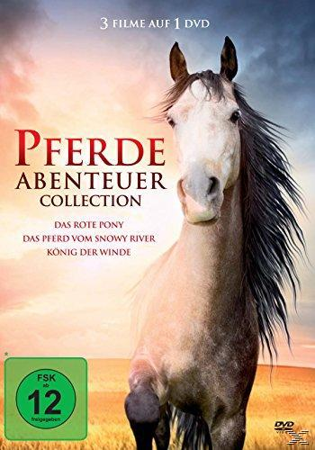 DVD-Cover eines Pferdes mit Hintergrund eines Sonnenuntergangs und eines Feldes.