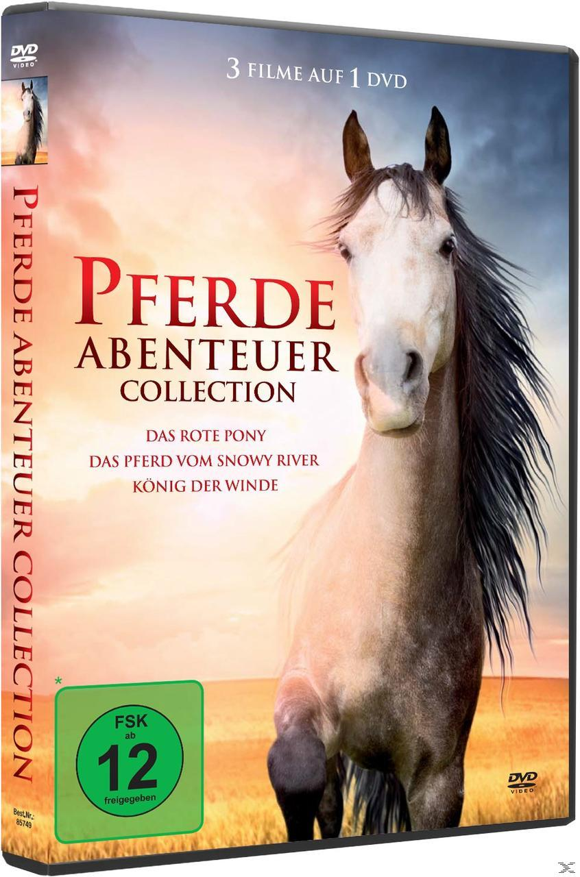 DVD-Cover: 'Pferde Abenteuer Collection'. Pferdebild, Text und DVD-Details.