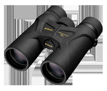 Schwarzes Fernglas mit Nikon- und Prostaff-Logo auf leicht angewinkelter Oberfläche.