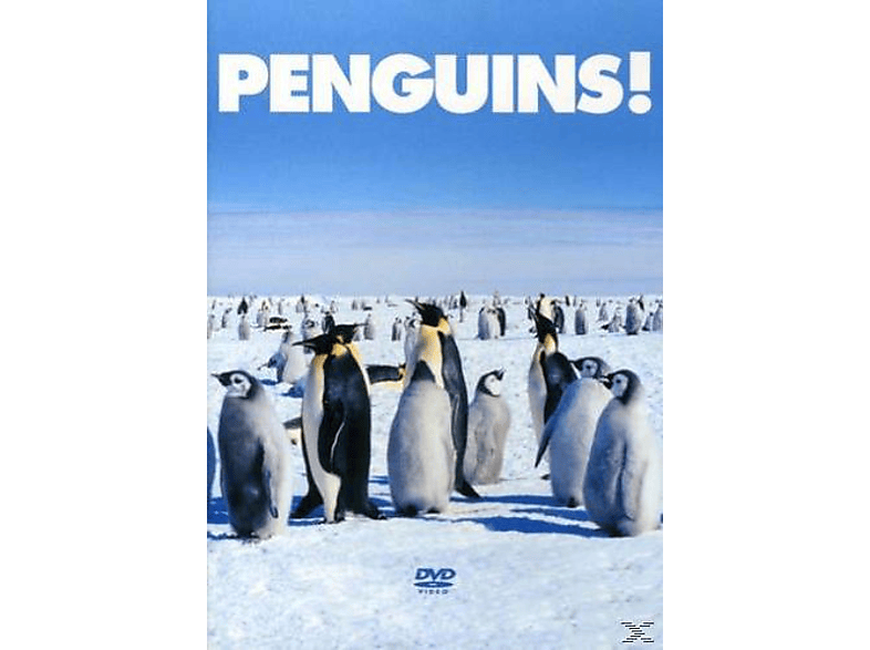 Penguins! DVD