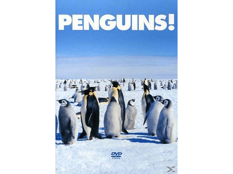 Penguins! DVD | MediaMarkt