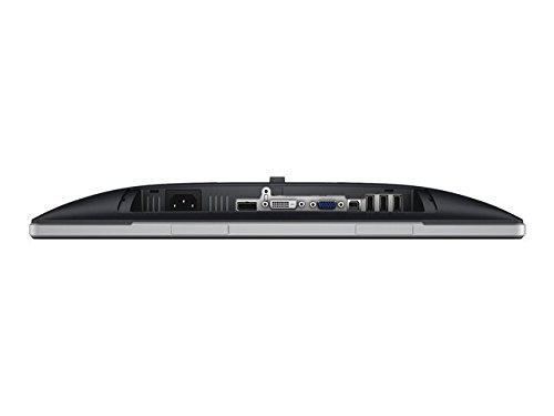 DELL P1914S 19 8ms (Analog + DVI + Display + 4 x USB) IPS LED Monitör